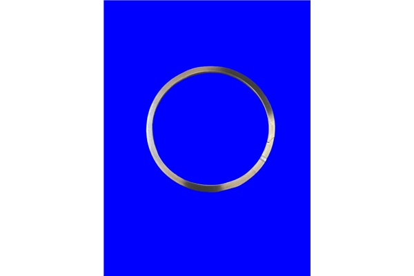 8E2819,8E-2819 挡圈