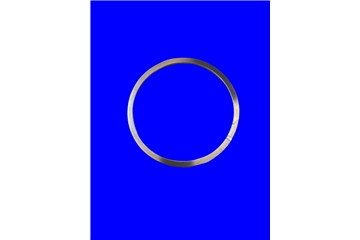 8E2819,8E-2819 挡圈